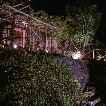 Ga281 Villa Funchal  Eksteriør bilde