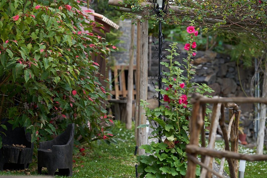 Ga281 Villa Funchal  Eksteriør bilde